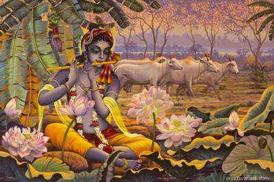 Krishna. Evening flute